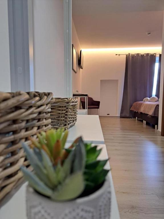 Olhos D' Agua Hotel Алканена Екстериор снимка
